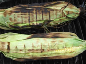 Grilling Corn on the Cob in Husks