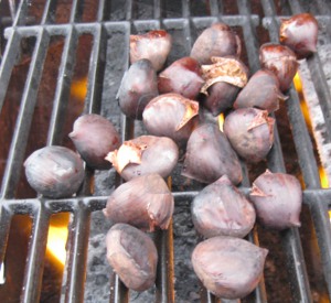 Chestnuts on the Grill