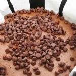 Dutch Oven Chocolate Turtle Cake with Chocolate Chips