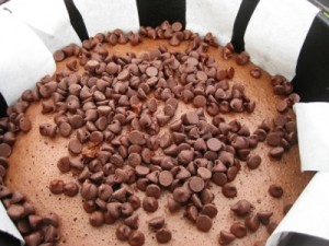 Dutch Oven Chocolate Turtle Cake with Chocolate Chips