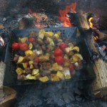 Shish Kabobs Cooked over The Fire