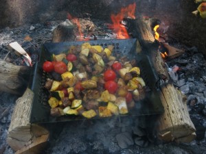 Shish Kabobs Cooked over The Fire