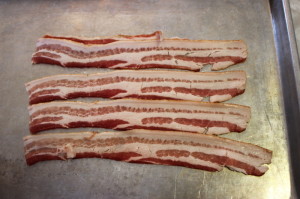 Bacon Laid Out