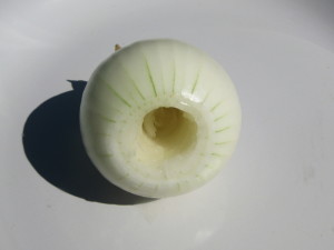 Preparing the Onion
