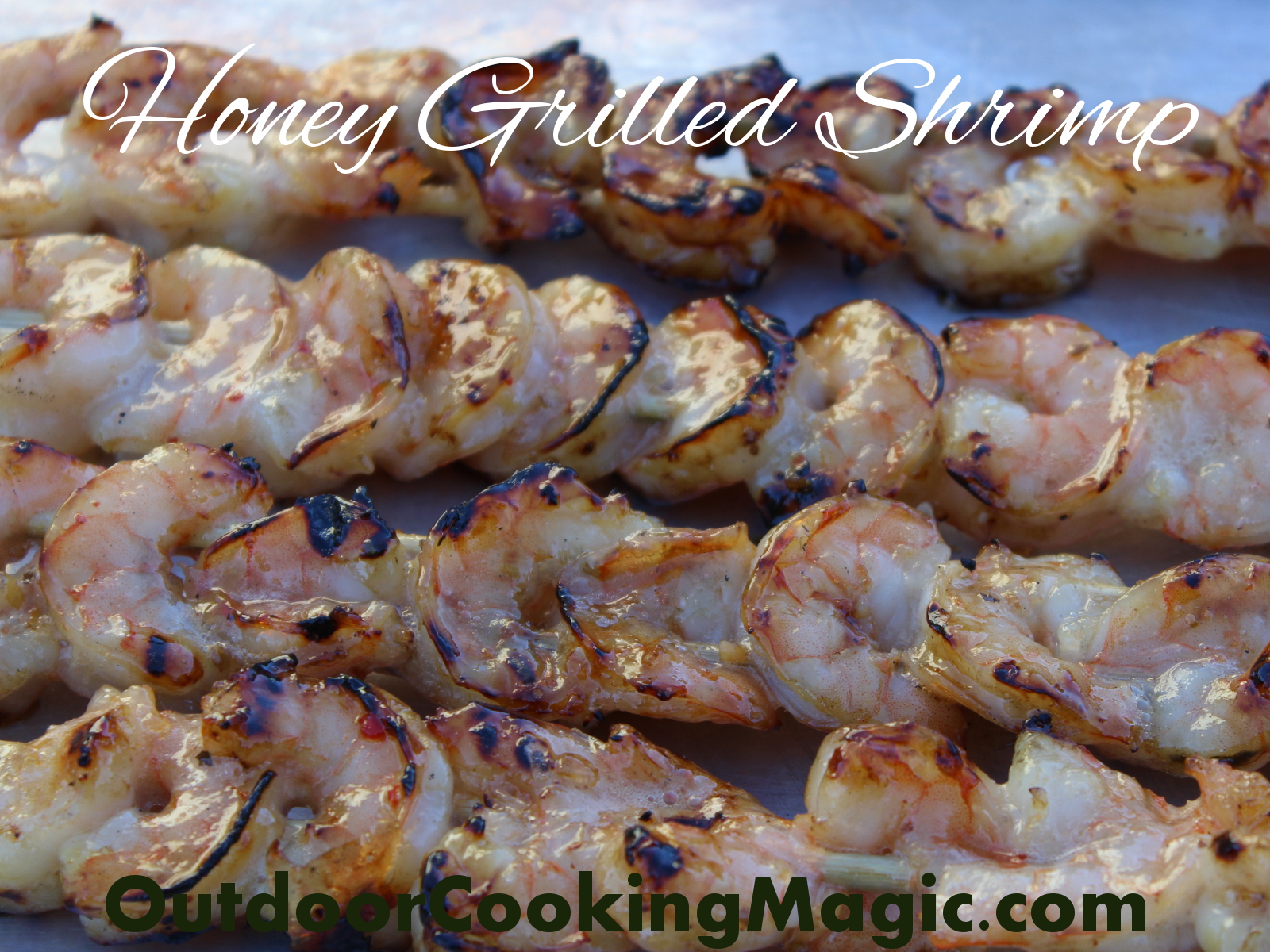 Honey Grilled Shrimp