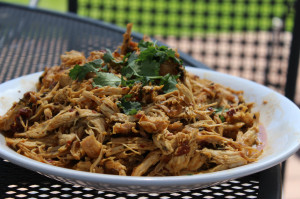Spicy Shredded Grilled Chipotle Chicken